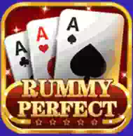 Rummy Perfect App Icon